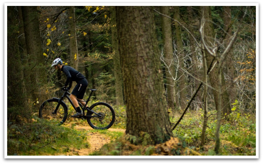 Man on an off roading bicycle on a dirt path in thick woods.