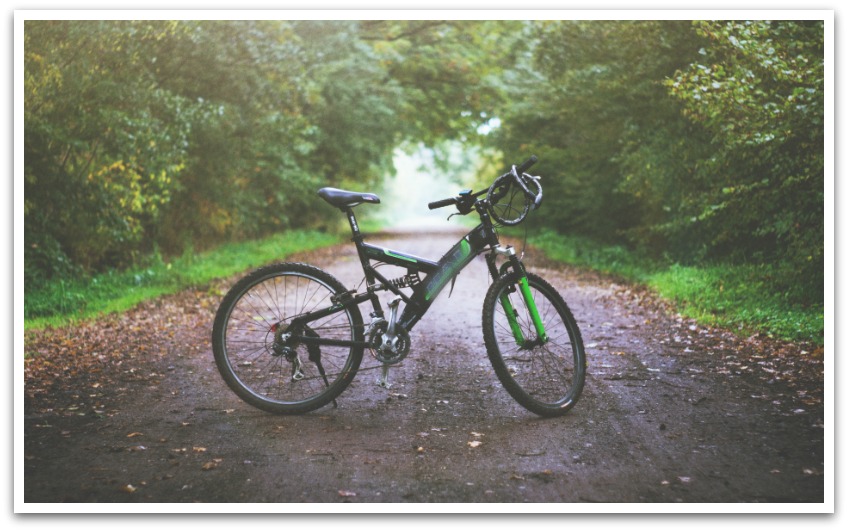 Green bicycle on a trail with trees forming an arch over it.